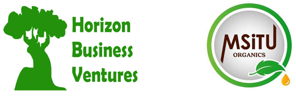 Horizon Business Ventures Ltd (HBV)