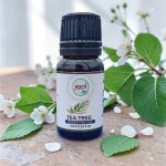 Experience our 100% Tea Tree (Melaleuca alternifolia) essential oil celebrated for centuries by Australian Aborigines. It is grown, handpicked, and steam-distilled in our herb gardens at the base of Mt. Kenya. Benefits It is a potent antimicrobial agent against viruses, bacteria, and fungi. Treats acne, dandruff, rashes, and infected wounds Helps boost the immune system. Safe use Always dilute before use (maximum 6%) Avoid when pregnant or with conditions like epilepsy and high blood pressure. Store in its original container and a cool dry place For best results use within 36 months.